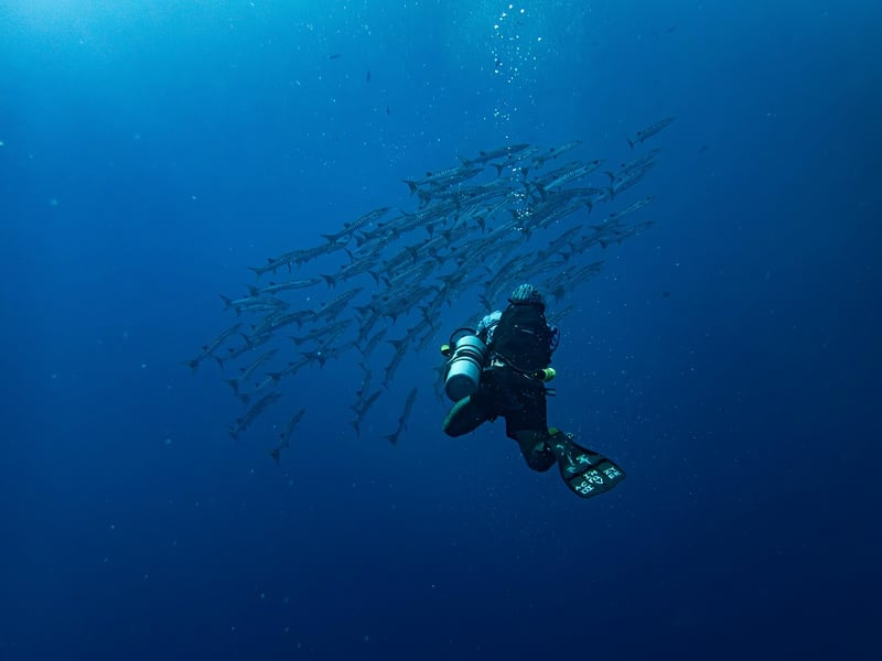 Snorkeling Trips