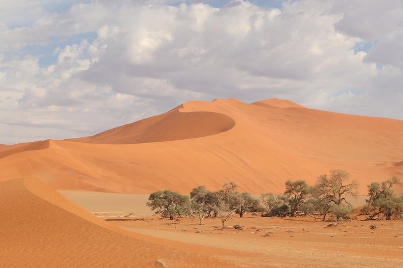 Desert Expedition